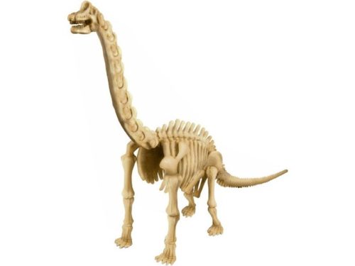 Dinoszaurusz régész készlet - Brachiosaurus - Palincs Játék