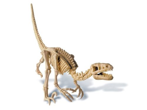 Dinoszaurusz régész készlet - Velociraptor - Palincs Játék