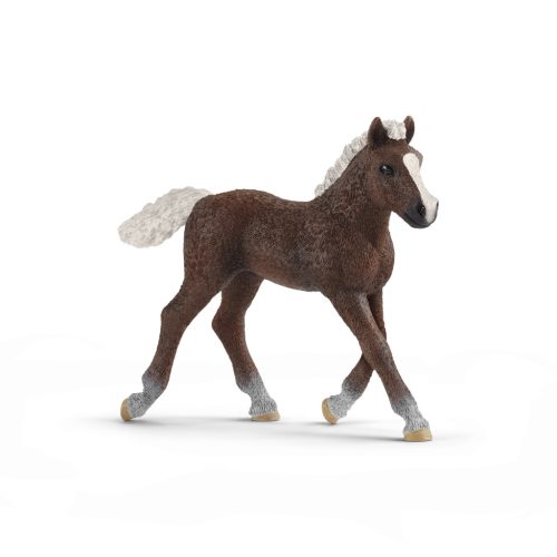 Schleich - Schwarzwaldi csikó - állatfigura