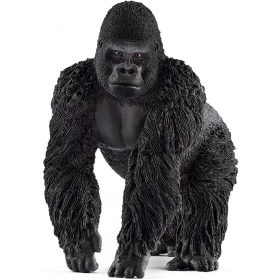 Gorilla - hím