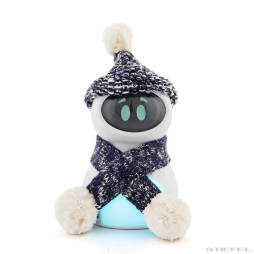 Kitt, a tanulótárs - programozgató robot