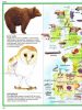 Képes atlasz gyermekeknek - Állatok a világban - Palincs Játék