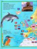 Képes atlasz gyermekeknek - Állatok a világban - Palincs Játék